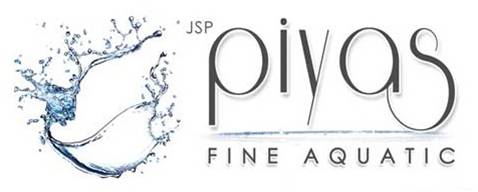 Piyas Logo